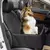 acessório para cães carro