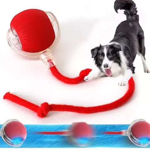 bola elétrica para pets