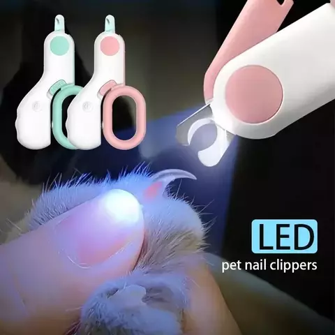 Luz LED