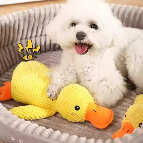 brinquedo de pelúcia para cachorro