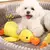 brinquedo de pelúcia para cachorro