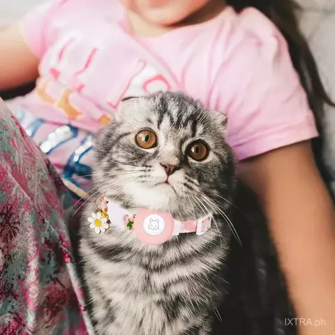 coleira de gato airtag