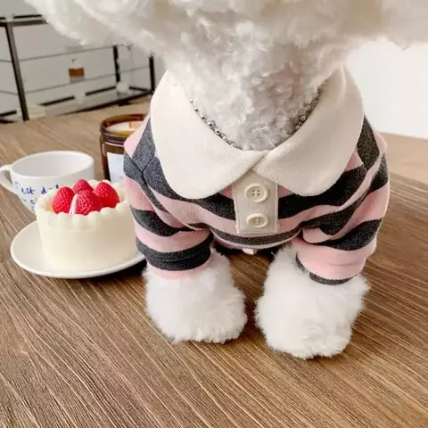roupas para cachorro