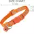 Suporte para AirTag para Coleira de Pet - loja online