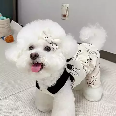 Macacão para cães