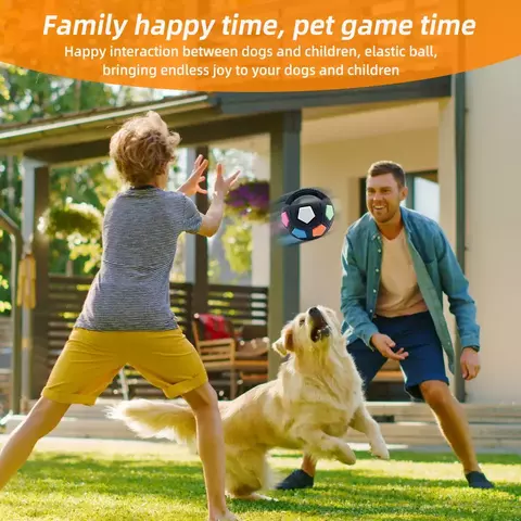 brinquedo para cães