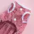 Vestidos para cães pequenos gatos filhote de cachorro roupas de verão princesa