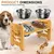 alimentador para cães e gatos