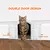 ABS gato porta com furo e cortina, entrada dupla, francês pet, entrada livre, g