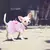 vestido de princesa para cachorro