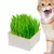 Bandeja de germinação de sementes conjunto de cultivo - comprar online