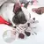 Immortal Squeaker – O Brinquedo Indestrutível para Cães com Mordida Forte - comprar online