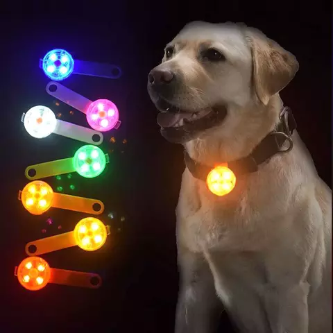 Coleira LED Anti-Perda para Cães