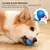 Bola de brinquedo para animais de estimação, jogo interativo elétrico, sensor - loja online