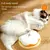brinquedo com catnip gato
