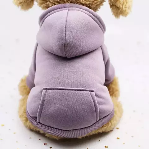 Moda Pet para Outono e Inverno