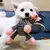 Immortal Squeaker – O Brinquedo Indestrutível para Cães com Mordida Forte - loja online