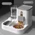 Alimentador Automático 2 em 1 com Fonte de Água
