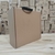Caja bolsa Lisa 31x30x12 cm (pack 100 unidades) en internet