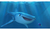 Procurando Dory - Pixar - Bônus Especiais - Blu-ray Duplo Formato De Mídia Blu-ray - loja online