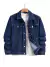 Imagen de Campera de Jean Clasica