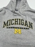 HOODIE MICHIGAN en internet