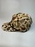 GORRA HELLBENDER - tienda online