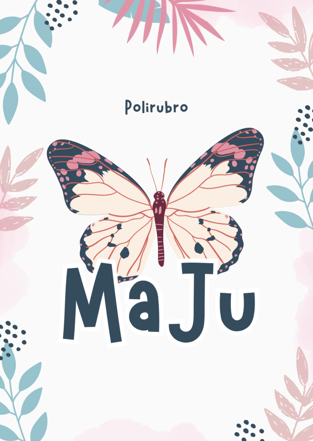 Maju Polirubro