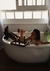 PALO SANTO #01 INTENTION - loja online
