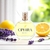 Ophira M6 - (Inspiration - Phatom) - comprar online