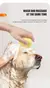 Escova de banho para cães com cerdas de borracha - DesenrolaShop