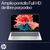 Notebook HP 14-EP1002LA Ultra 5 8GB 512GB W11 14" en internet