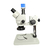 Microscopio Trinocular Profesional Con Camara 4k Aro Led en internet