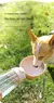 Imagem do Cão portátil tigela de água portátil material de qualidade para alimentar cães e gatos em viagens ou passeios