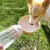 Cão portátil tigela de água portátil material de qualidade para alimentar cães e gatos em viagens ou passeios - Santiago's