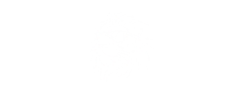 HolyVibes