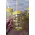 2 Copos de Vidro Coruja 450ml - comprar online