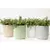 Vaso Decorativo de Cerâmica - comprar online