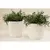 Vaso Decorativo de Cerâmica - loja online