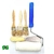 Kit Pintura com 6 Peças