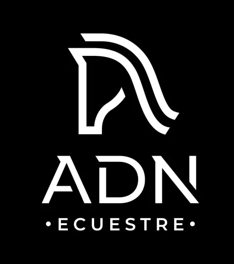 Marca 5 de B⋆SHINNE Equestrian