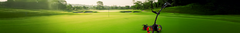 Banner de la categoría Carros Electricos