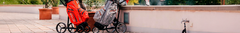 Banner de la categoría Carros Manuales