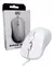 Mouse Óptico MOG 108 - SG Soluciones Globales