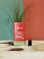 Blush Lové Rain - loja online