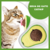 Abacate Lambe-Lambe - Catnip – Erva Natural para Gatos na internet