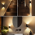 Luz Noturna LED Regulável – Direto na Tomada – Brilho Ajustável. Ambientes Modernos. na internet
