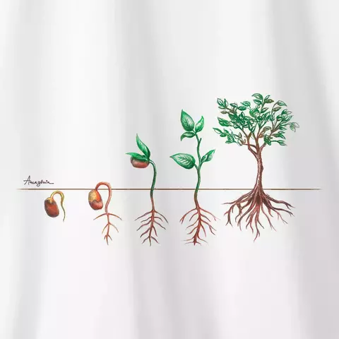 Camiseta Amazônia PLANTE UMA SEMENTE - BRANCO - comprar online