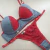 Conjunto Fio com Bojo e Renda na internet