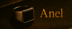 Banner da categoria Anel